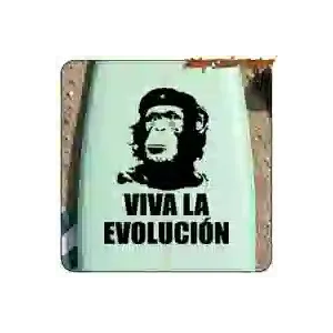 Sticker Viva la evolución | Vinyle découpé