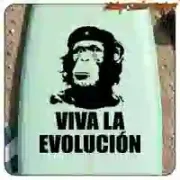 Viva la evolución Aufkleber | Schneidevinyl