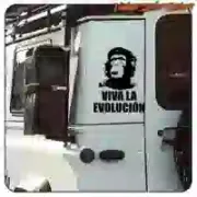 Sticker Viva la evolución | Vinyle découpé