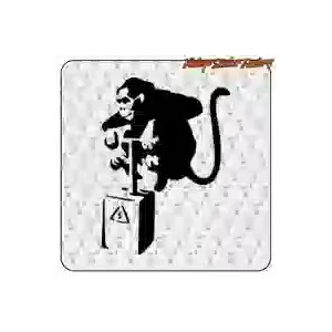 Autocollant Monkey TNT street art | Vinyle découpé