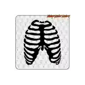 CHEST STICKER. BUY VINYL STICKERS.