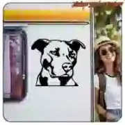 Pitbull American Stafford sticker for motorbike and helmet