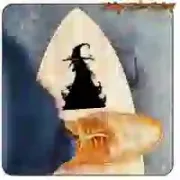 WITCH STICKER. BUY VINYL STICKERS.