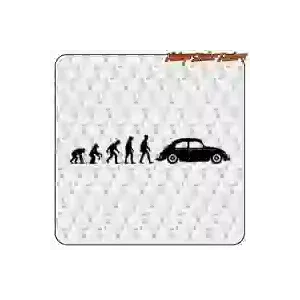 BEETLE EVOLUTION STICKER. BUY VINYL STICKERS.