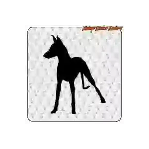 HETZEN AUFKLEBER. KAUFEN SIE VINYLAUFKLEBER.