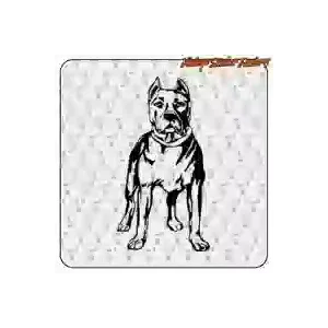 Pegatina pit bull en varias medidas y orientaciones