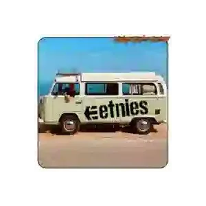 Die-cut ETNIES vinyl sticker
