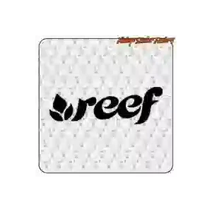 REEF AUFKLEBER. KAUFEN SIE VINYLAUFKLEBER.