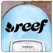 REEF STICKER. BUY VINYL STICKERS.
