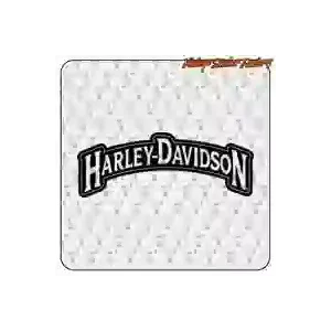 Pegatina HARLEY DAVIDSON para moto custom