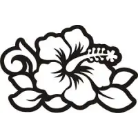 Autocollant Flor Hawaiana Hibiscus