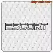 Pegatina ESCORT. Comprar pegatinas.