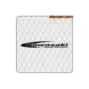 Pegatina Kawasaki Team Racing | Vinilo moto racing