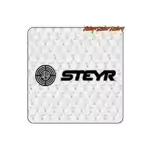 Pegatina STEYR. Comprar pegatinas.
