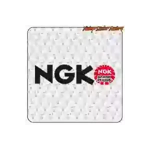 NGK SPARK PLUGS AUFKLEBER. KAUFEN SIE VINYLAUFKLEBER.