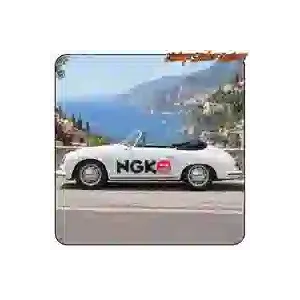 Pegatina NGK SPARK PLUGS racing