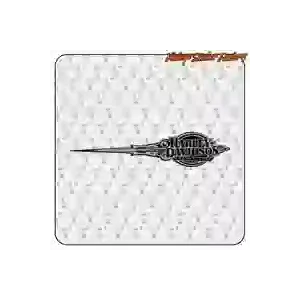 Autocollant Harley Davidson Right en vinyle découpé
