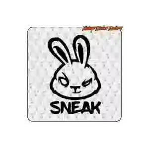 Pegatina SNEAK decorativa | Vintage Sticker Factory