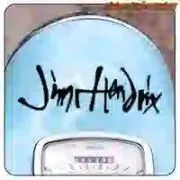 JIMI HENDRIX FIRMA AUFKLEBER. KAUFEN SIE VINYLAUFKLEBER.