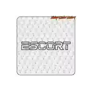 FORD ESCORT' STICKERS.