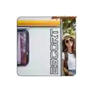 Pegatina FORD ESCORT. Comprar pegatinas.