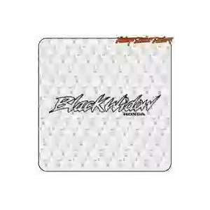 BLACK WIDOW motorcycle racing sticker