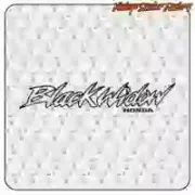 Pegatina BLACK WIDOW para moto racing