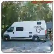 Pegatina DOMO-KUN en varias medidas