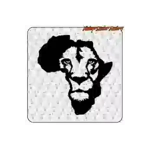 African lion sticker for 4x4s