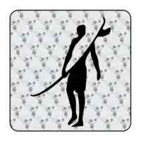 Sticker tabla surf 2