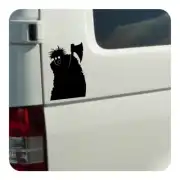 PSYCHO sticker applied to the rear bodywork of a white van