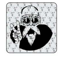 Sticker Follet tortuga 2