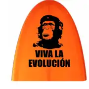 Diseño «Viva la evolución» en negro aplicado sobre una superficie naranja