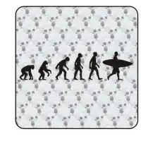 EVOLUCION SURF Aufkleber 2