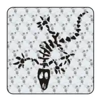 Autocollant Gecko Skull 2