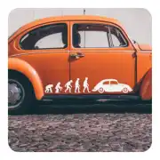 Sticker evolucion beetle