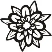 Black floral design with tattoo inspiration, featuring stylised petals and leaves