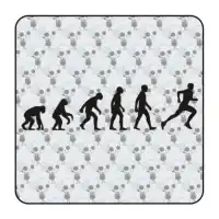 Pegatina EVOLUCION RUNNING. Pegatinas surferas. 2