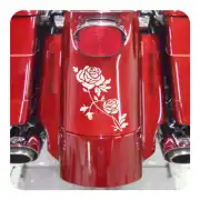 Diseño de dos rosas aplicado sobre la parte trasera de una motocicleta