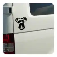 Aufkleber boxer Aufkleber