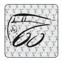 Sticker 60 aniversario transporter 2