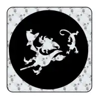 Pegatina BRUJA. Pegatinas freaks, pegatinas frikis. 2