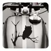 Sticker buho