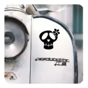 Autocollant calavera lazo