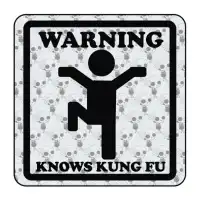 Pegatina WARNING KNOWS KUNG FU. Pegatinas freaks, pegatinas frikis. 2
