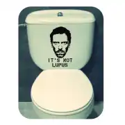 Sticker with a bearded face and the text «IT'S NOT LUPUS» applied to a toilet cistern