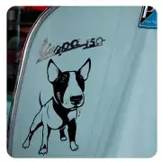 Schwarzer Bull Terrier auf der Karosserie eines Rollers angebracht
