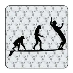 Longboard Evo Aufkleber 2