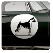 Perro bóxer adhesivo aplicado en la puerta de un coche verde