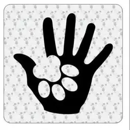 Pegatina NUEVO. Pegatinas para Camper y Autocaravana 2